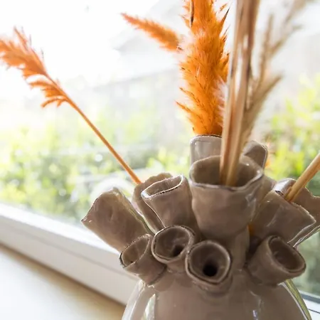 Chalet Knusse Wellness Op De Veluwe